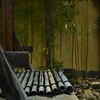 庵の青竹。。。！