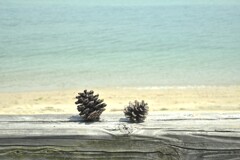 夏の海　①。。。！
