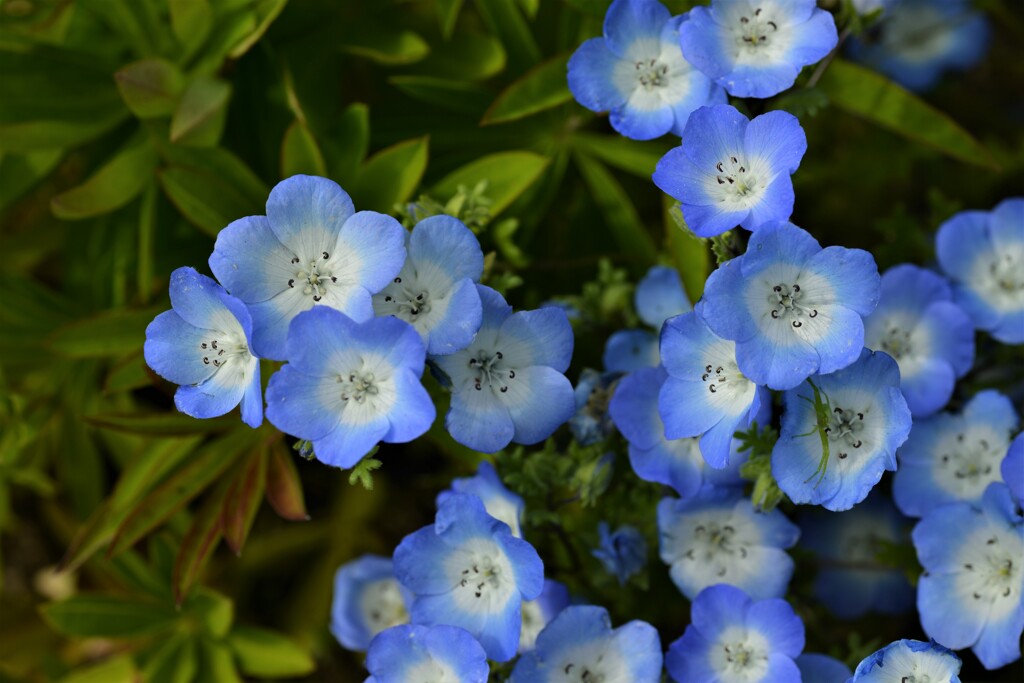 彩る花たちへ　④。。。！