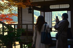 秋を満喫する人々　➂。。。！