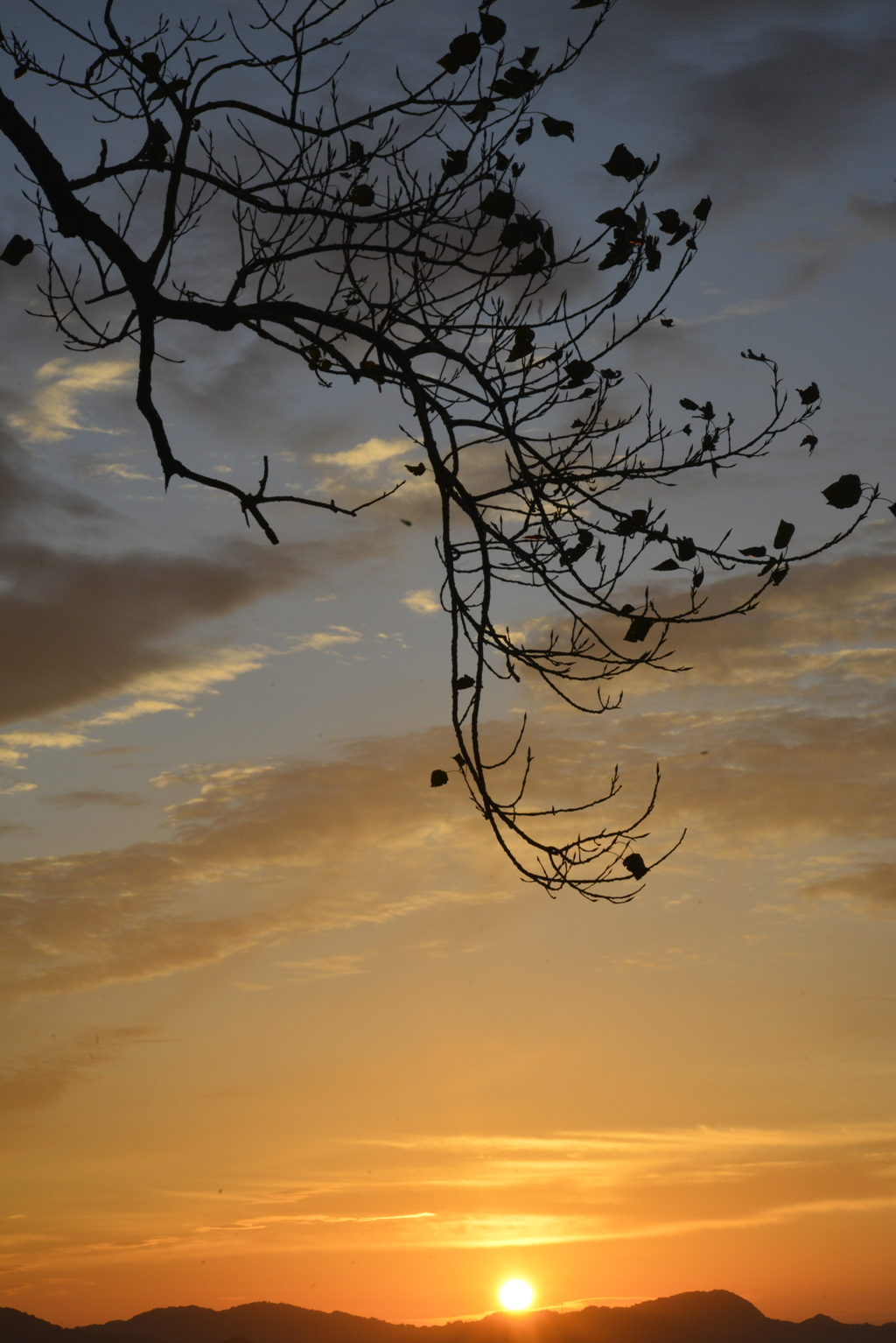 秋の空に沈みゆく。。。！