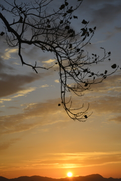 秋の空に沈みゆく。。。！