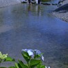 夏が来る歓び　①。。。！