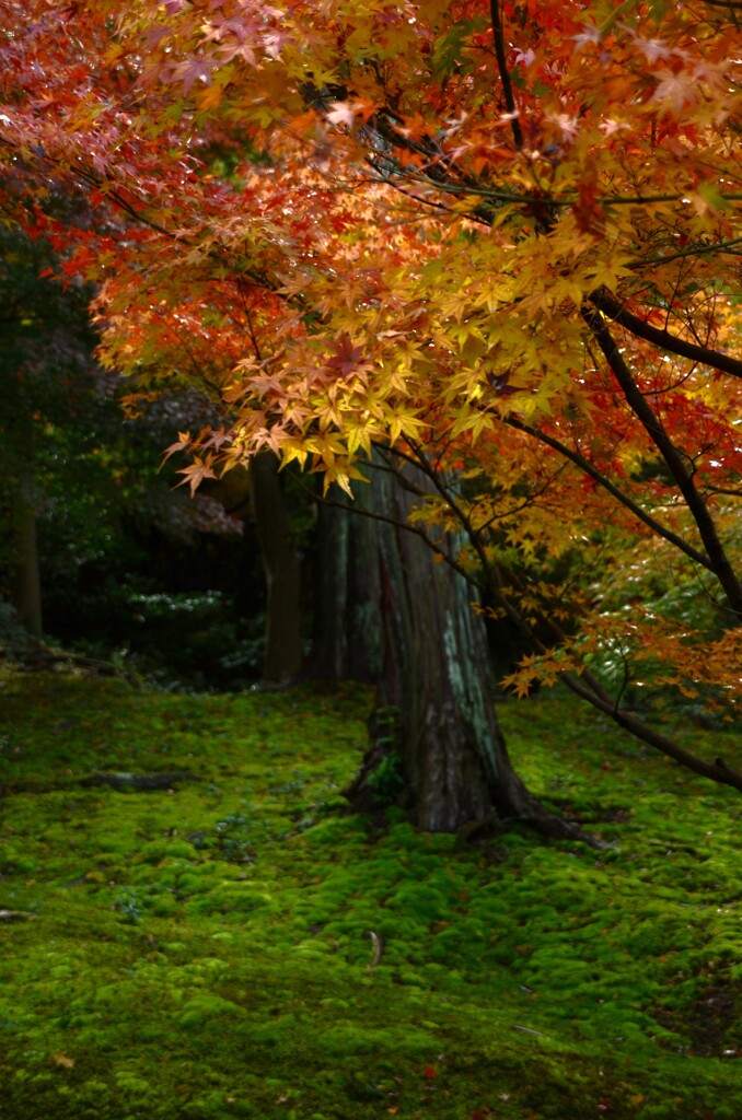 哀しみの終焉　➂。。。！