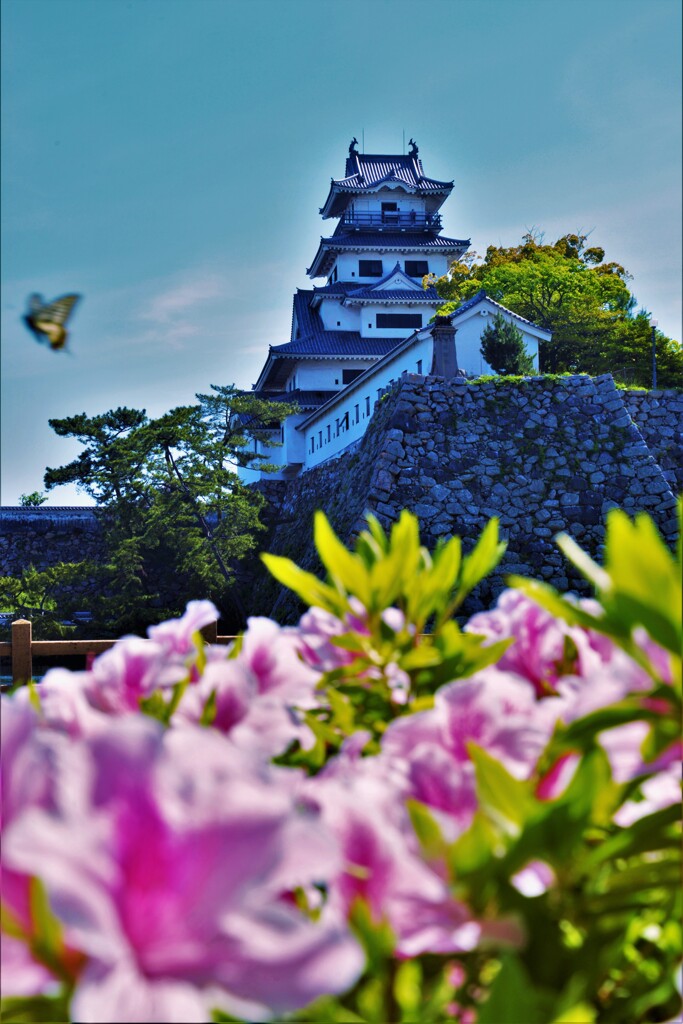 花に埋もれる城　①。。。！