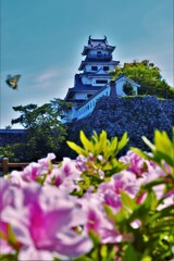 花に埋もれる城　①。。。！