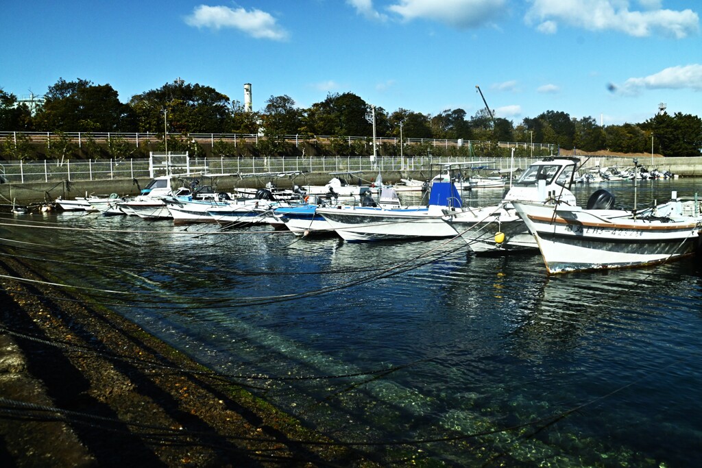 爽快な冬晴れ　➂。。。！