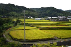 静かな里の秋　①。。。！