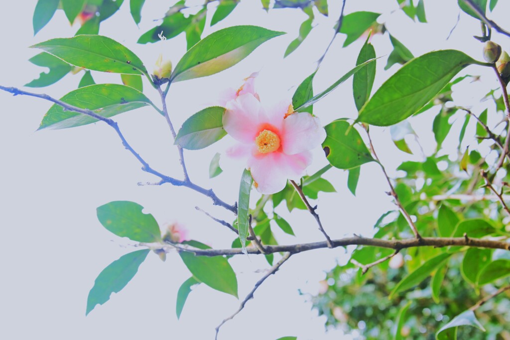 優しさに包まれて　。。。！