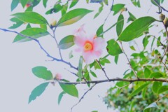 優しさに包まれて　。。。！