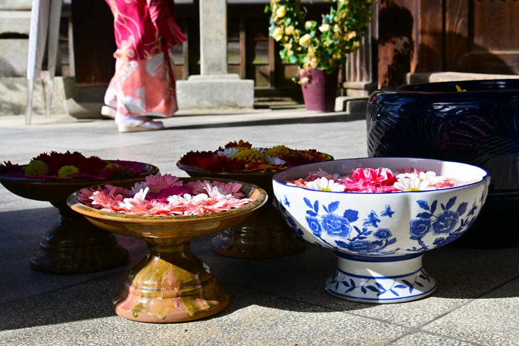 美しい花手水　➂。。。！
