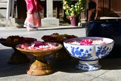 美しい花手水　➂。。。！