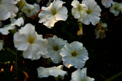 熱い風の公園　②。。。！