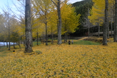 ゆく秋を惜しむ　⑤。。。！