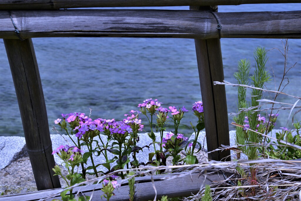 海を感じる丘の上　①。。。！