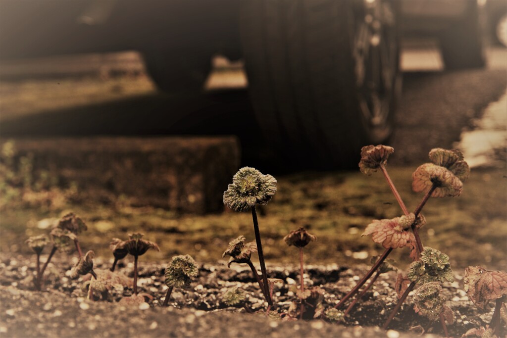 力強く…逞しく。。。！