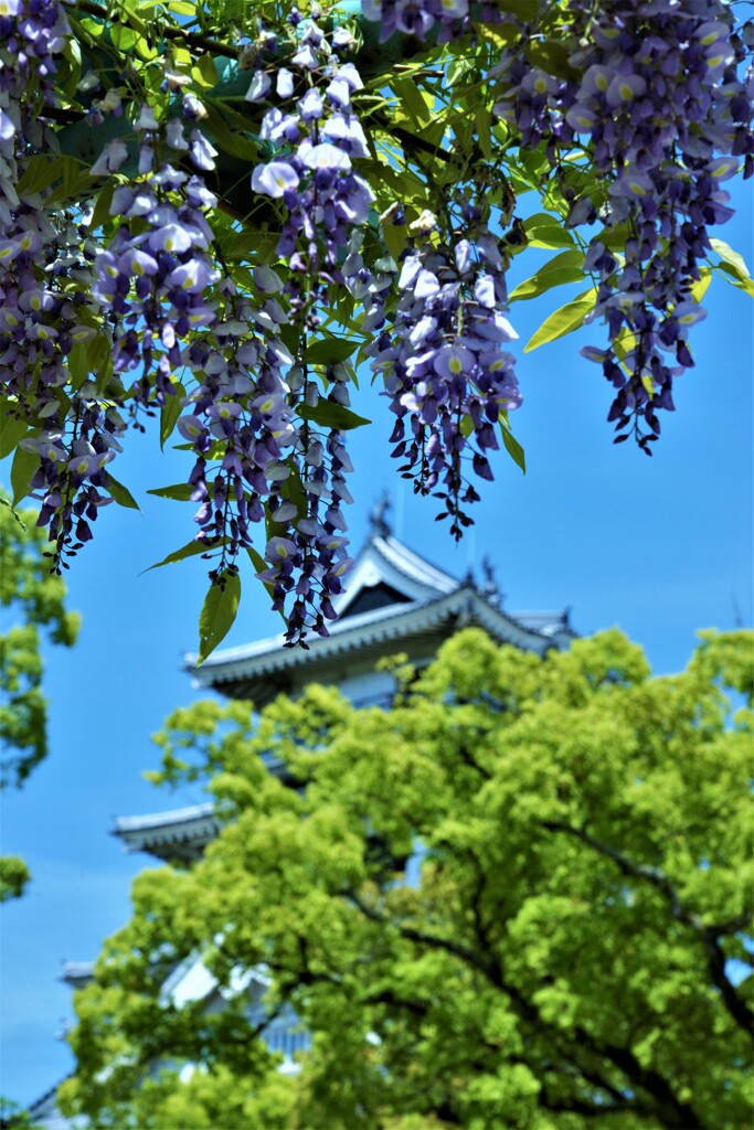 花に埋もれる城　③。。。！