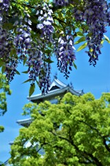花に埋もれる城　③。。。！