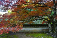 静寂の秋に浸る　⑤。。。！