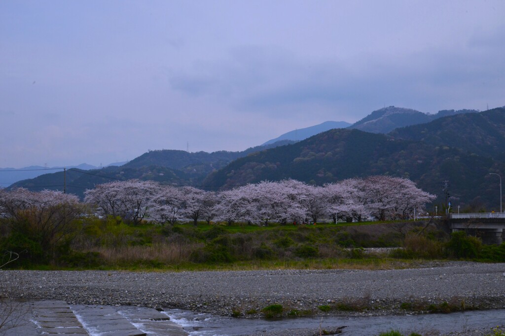 ふるさと山河に咲く　➁。。。！