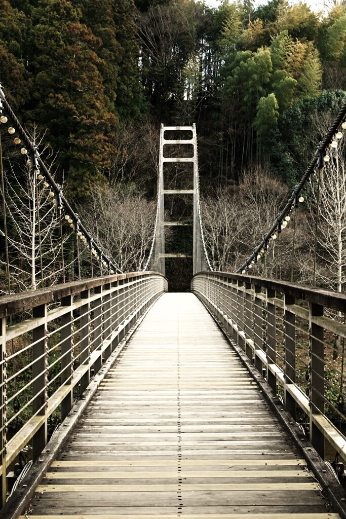 枯野へと渡る　。。。！