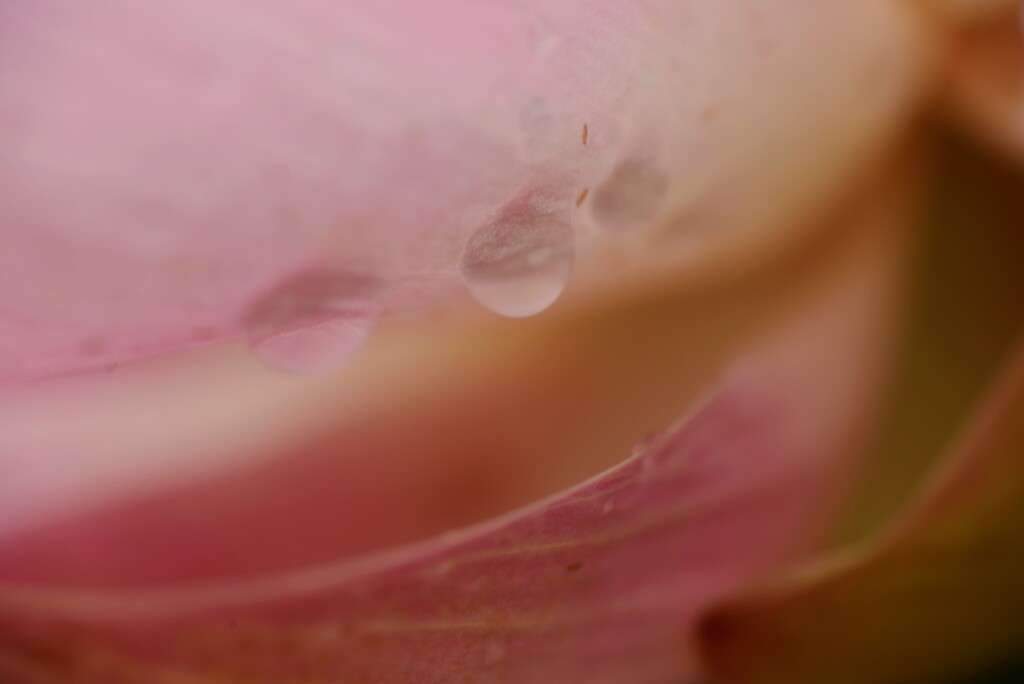 時空の涙　②。。。！