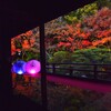 秋の夜の夢　⑤。。。！