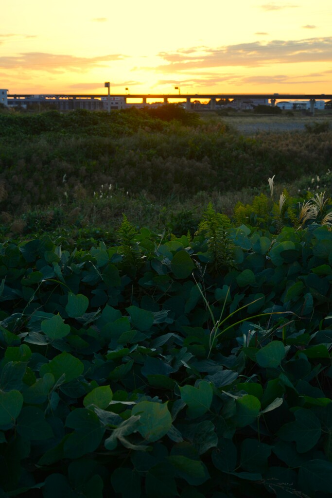 静かに暮れる　①。。。！