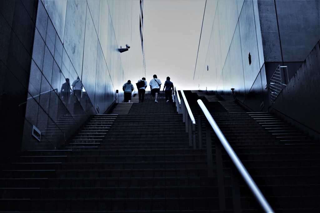 見上げると　③。。。！