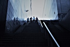 見上げると　③。。。！