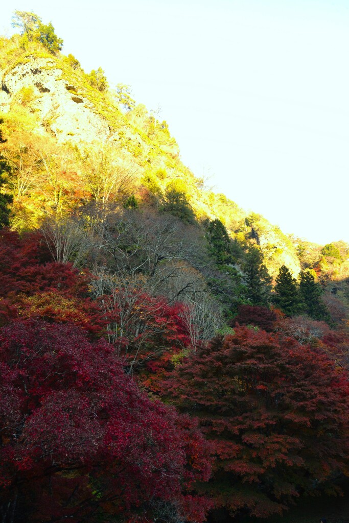 秋衣　①。。。！