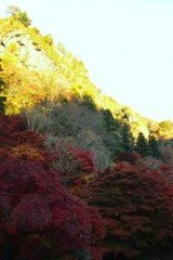 秋衣　①。。。！