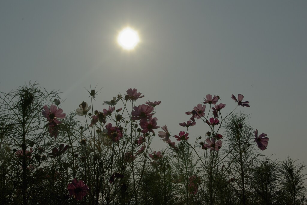 秋の宅配便　①　。。。！