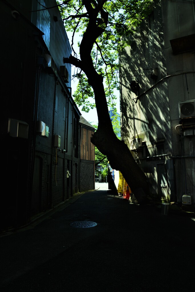 裏路地の情景。。。！