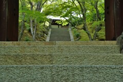 山門をくぐると。。。！