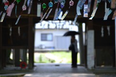夏の風音　①。。。！