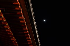 甍と十六夜月