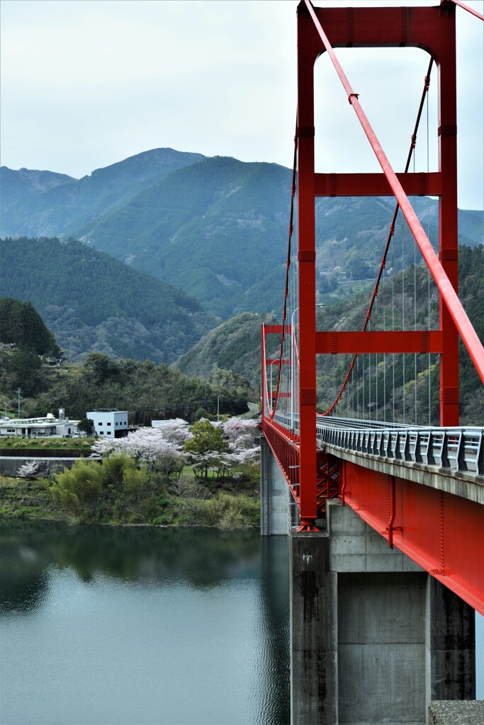Sakura　Highway　③。。。！