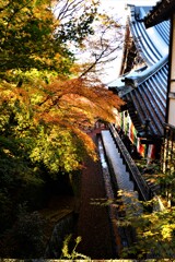 錦絵の古都【永観堂編】　⑦