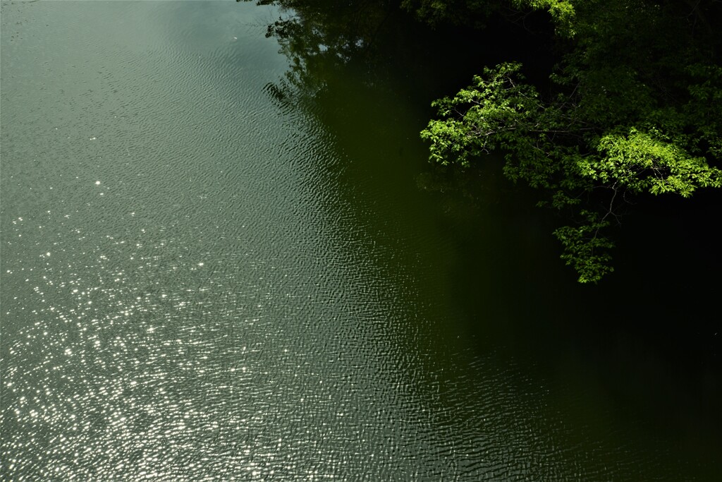 神秘な湖面のきらめき。。。！