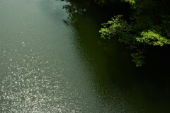 神秘な湖面のきらめき。。。！