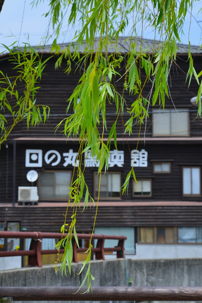 初夏の風渡る。。。！