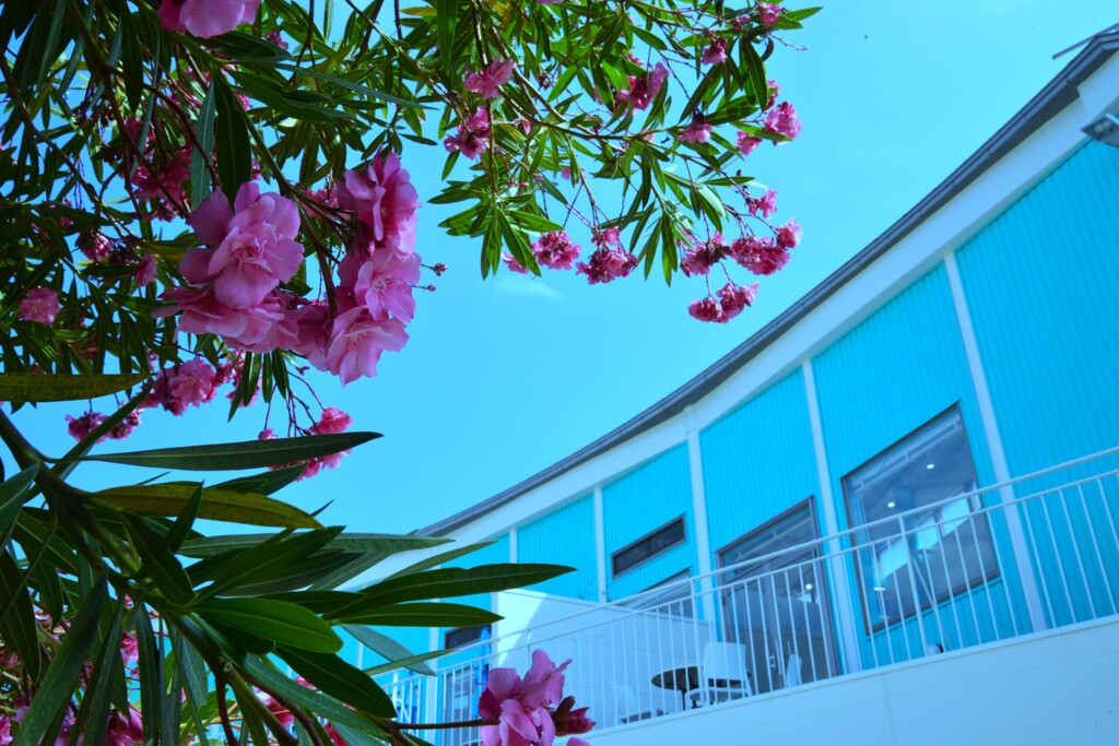海辺のcafeteria　②。。。！