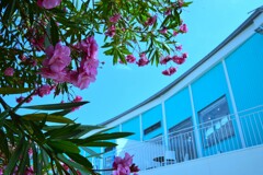 海辺のcafeteria　②。。。！