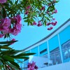 海辺のcafeteria　②。。。！