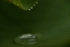 雨粒シンフォニー。。。！