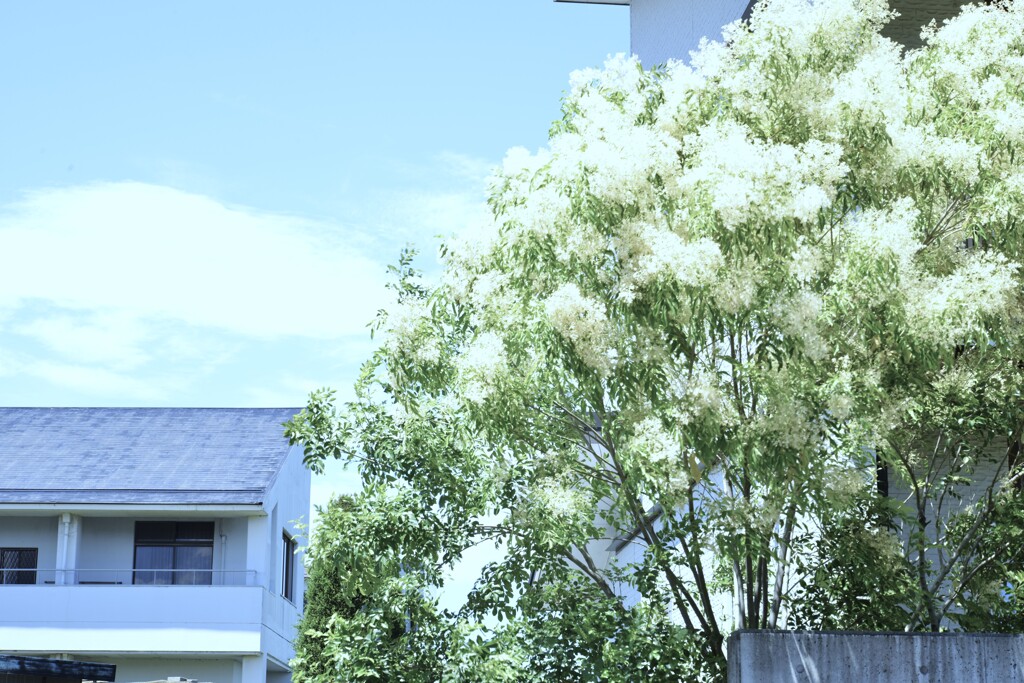 涼しい風の詩　➂。。。！