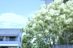 涼しい風の詩　➂。。。！