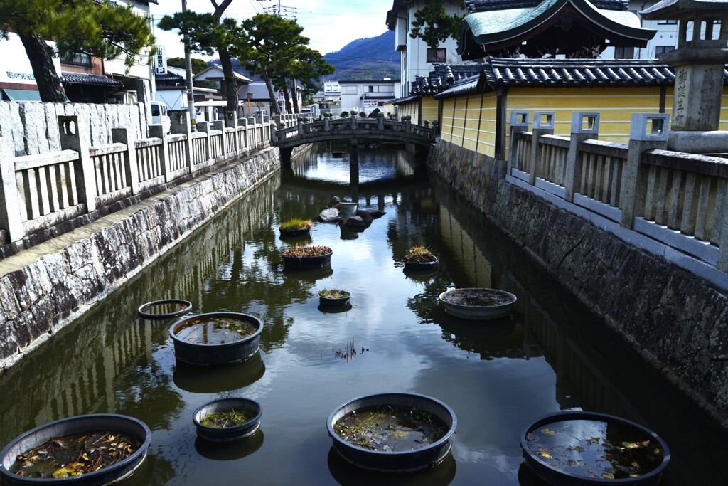 善通寺．．　➂。。。！