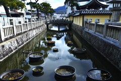 善通寺．．　➂。。。！